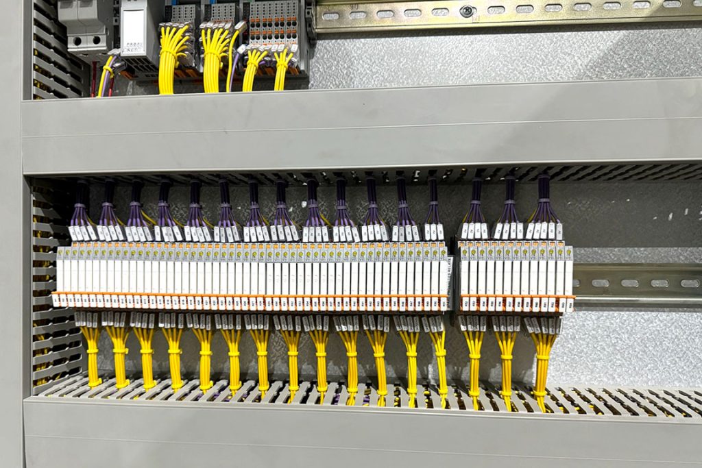 Why Simplicity Wins in Macadamia Processing Plants