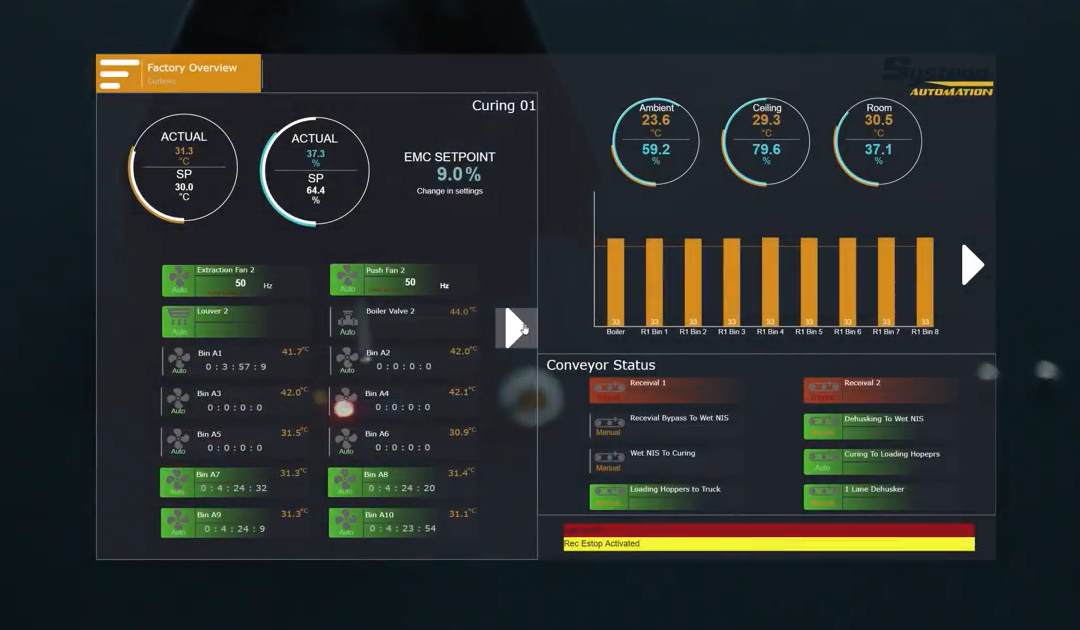 5 Key Macadamia Curing Principles That Preserve Value and Prevent Quality Loss